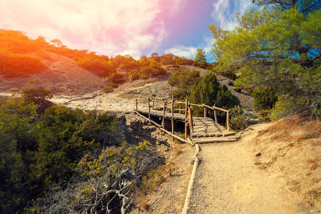 Viviendo en la jungla&nbsp;laboral