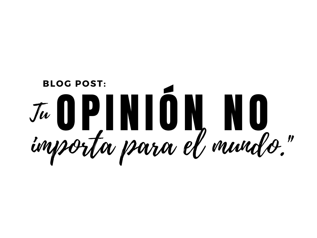 «Tu opinión no importa para el&nbsp;mundo».